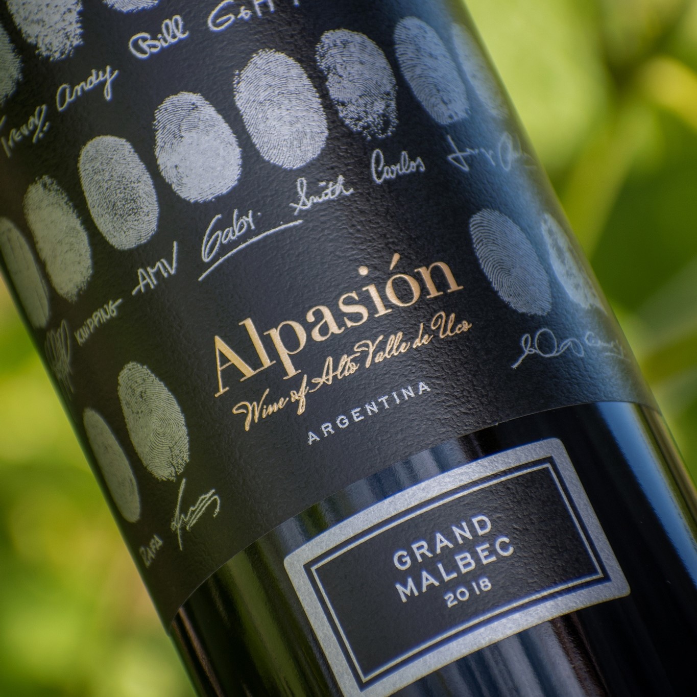 Mendoza | Alpasíon Mendoza | Alpasíon
