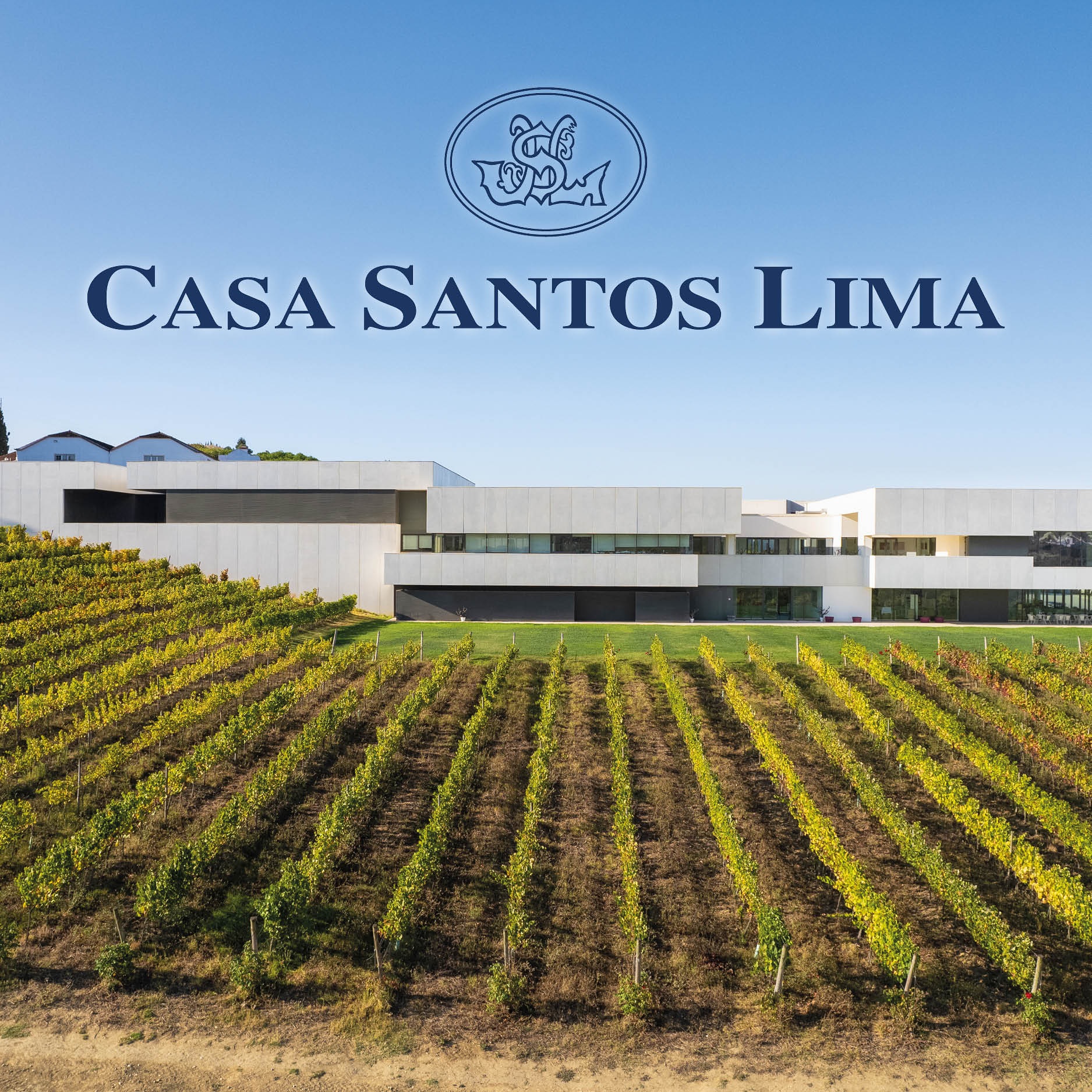 Mosaico | Casa Santos Lima Mosaico | Casa Santos Lima
