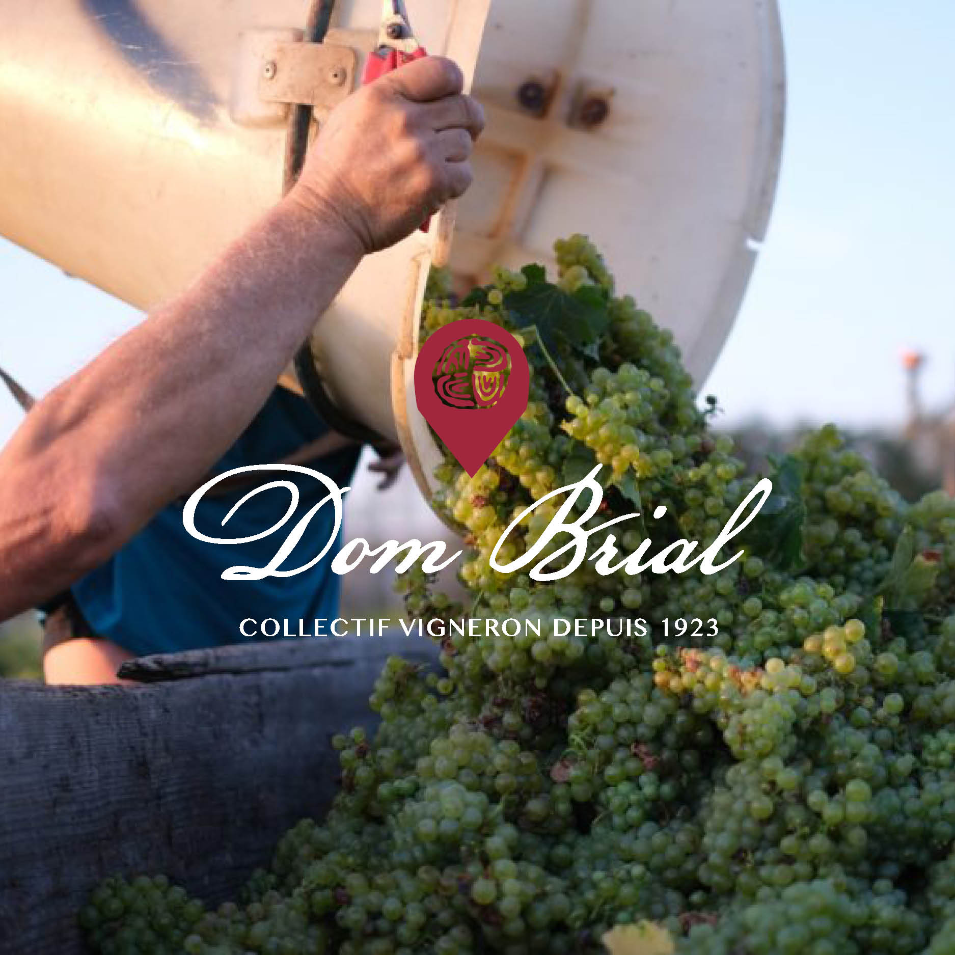 Vins Doux Naturels | Dom Brial Vins Doux Naturels | Dom Brial