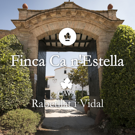 Cava | Rabetllat i Vidal