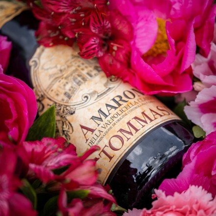 Valpolicella | Tommasi