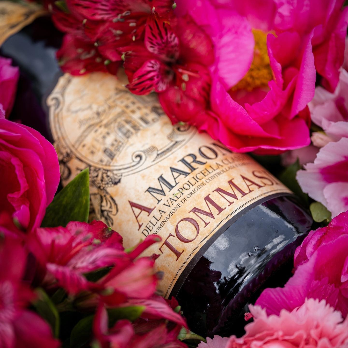Valpolicella | Tommasi Valpolicella | Tommasi
