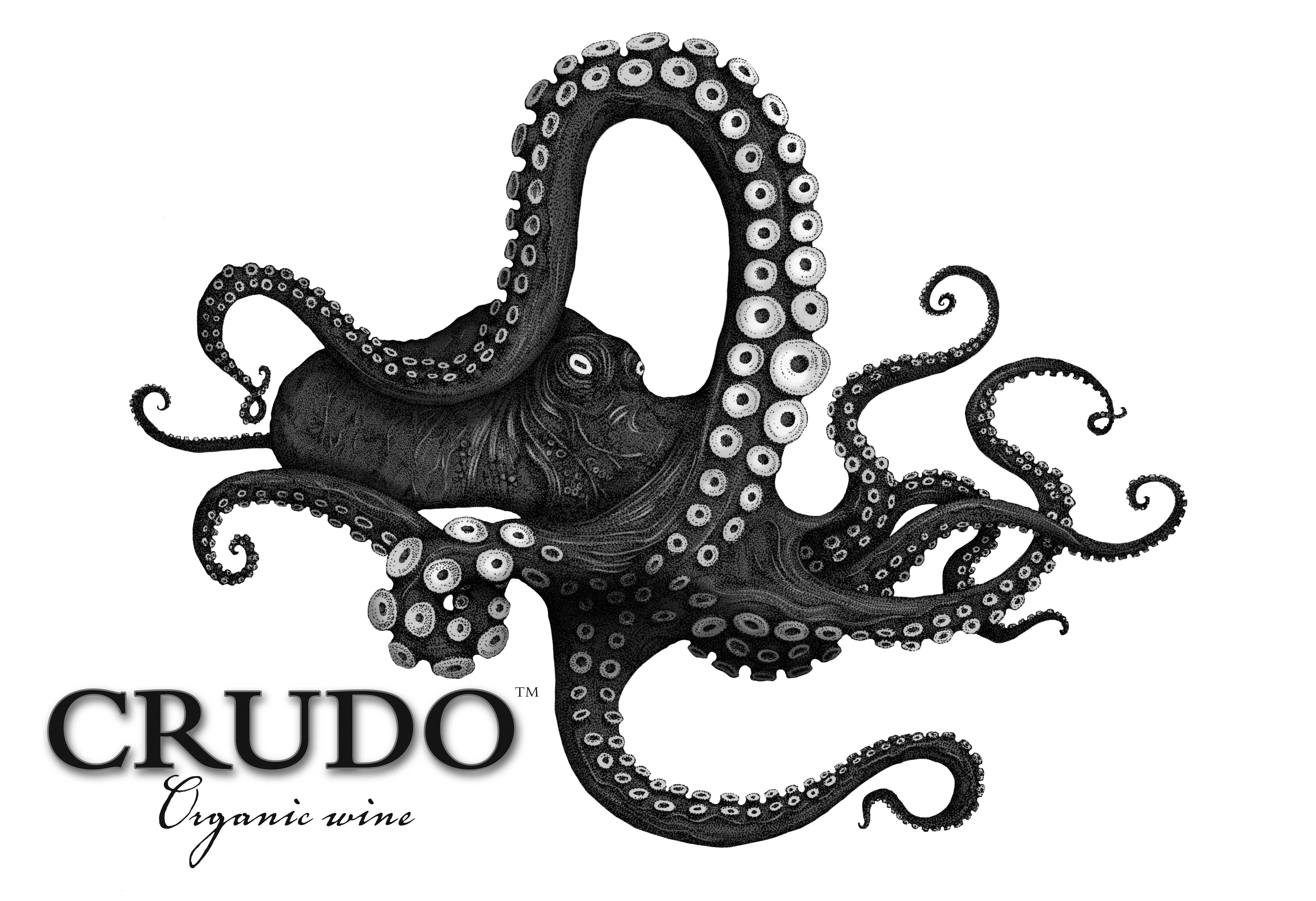 Crudo  | Online kopen bij ons
