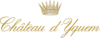 Château d'Yquem  | Online kopen bij ons