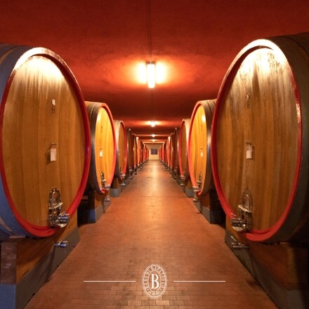 Piemonte | Batasiolo