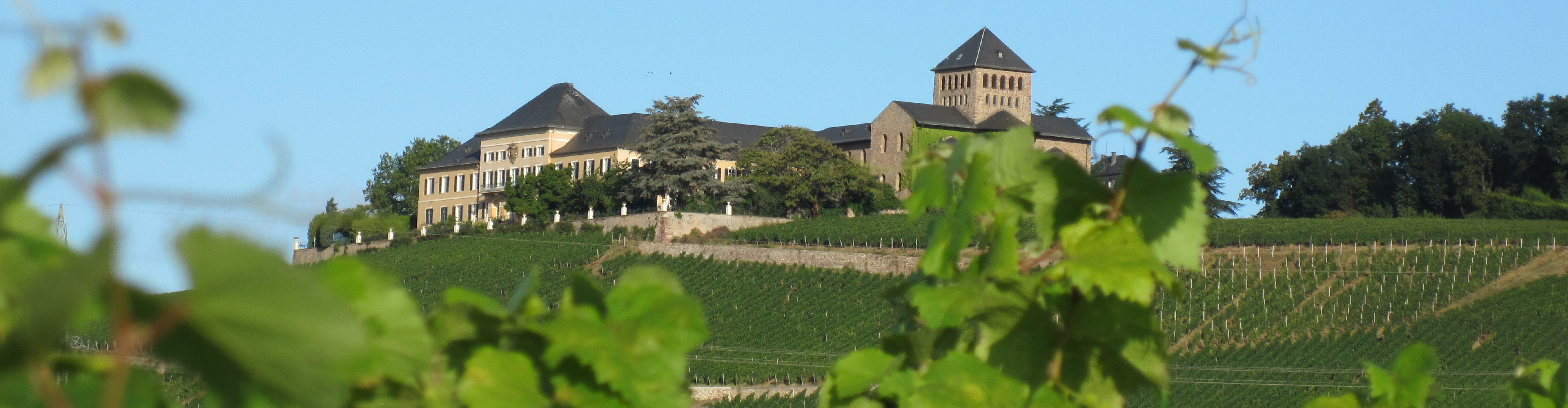 Schloss Johannisberg Schloss Johannisberg