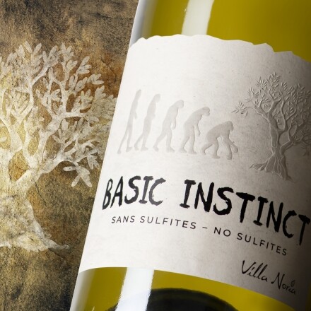 Natuurwijn | Domaine Villa Noria